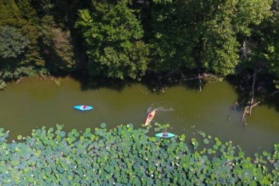 Ohio State Parks Shine as Finalist for National Gold Medal Award in Park and Recreation Management