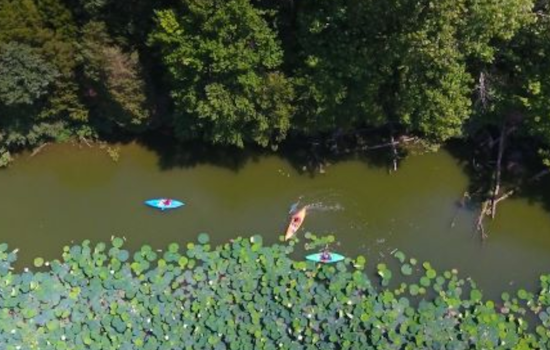 Ohio State Parks Shine as Finalist for National Gold Medal Award in Park and Recreation Management