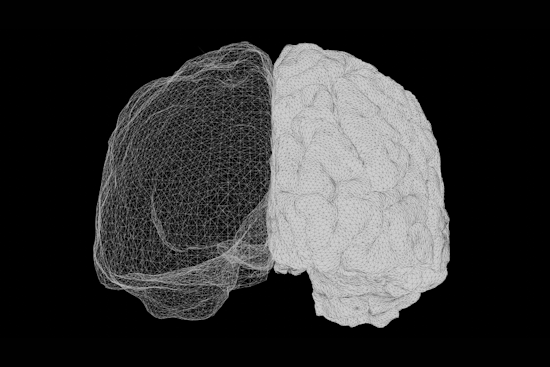 Ohio State Researcher Proposes Psychedelics Induce Right-Brain Dominance, Potentially Enhancing Empathy and Creativity