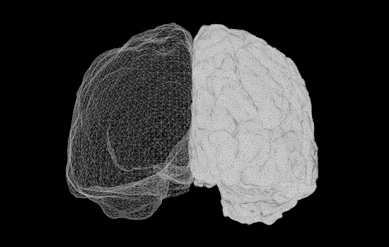 Ohio State Researcher Proposes Psychedelics Induce Right-Brain Dominance, Potentially Enhancing Empathy and Creativity