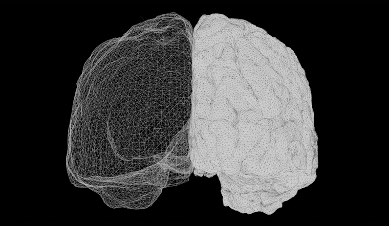 Ohio State Researcher Proposes Psychedelics Induce Right-Brain Dominance, Potentially Enhancing Empathy and Creativity