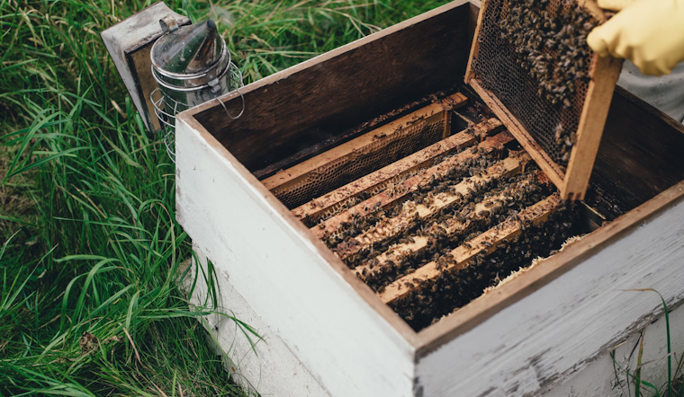 Ohio State University at Marion Student Veterans Launch Beekeeping Initiative to Support Campus Prairie Ecosystem