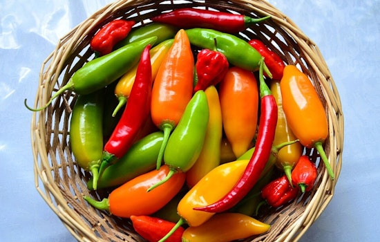 Ohio State University Researchers Discover "Anti-Spice" Compounds to Dial Down Chili Heat