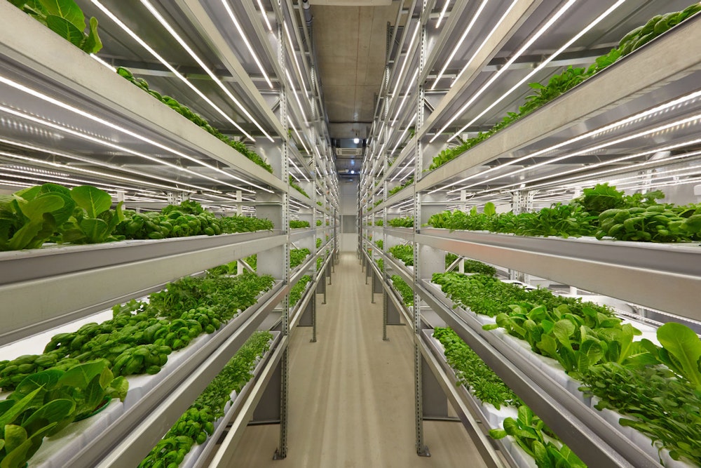 OnePointOne Inaugurates State-of-the-Art Vertical Farm in Avondale, Eyes Sustainable Future