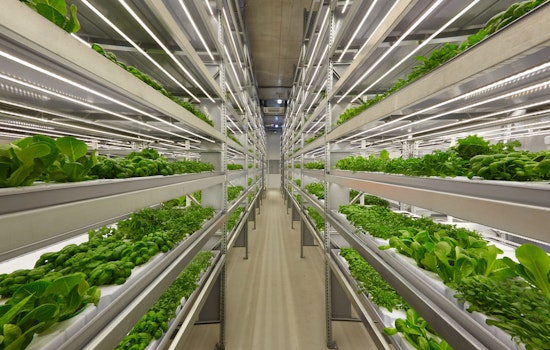 OnePointOne Inaugurates State-of-the-Art Vertical Farm in Avondale, Eyes Sustainable Future