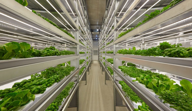 OnePointOne Inaugurates State-of-the-Art Vertical Farm in Avondale, Eyes Sustainable Future