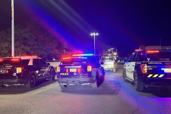 Operation Not in Vain: 37 Felony Arrests and Stolen Vehicle Recoveries in Las Cruces' Weeklong Crime Crackdown