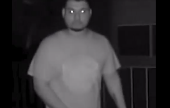 Orange County Authorities Seek Public's Help to Identify Suspect in Attempted Kidnapping Incident Near Adanson Street