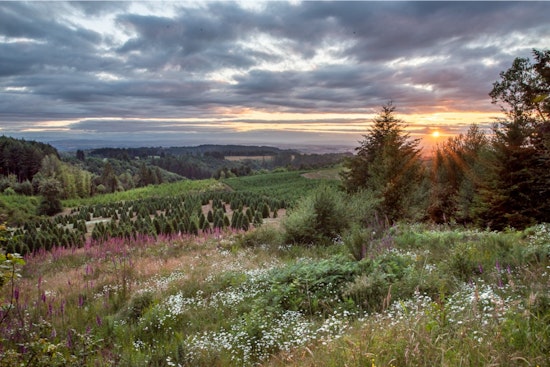 Oregon Committees Set to Examine Grant Applications for Historic Property and Archaeology Preservation