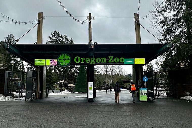 Oregon Zoo Mourns Loss of Tilly, the Cherished Otter and 'Mom of the Year'