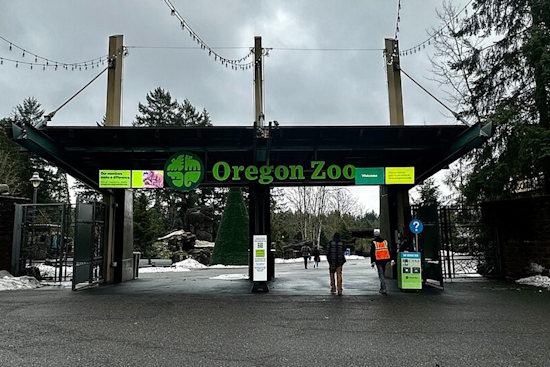 Oregon Zoo Mourns Loss of Tilly, the Cherished Otter and 'Mom of the Year'