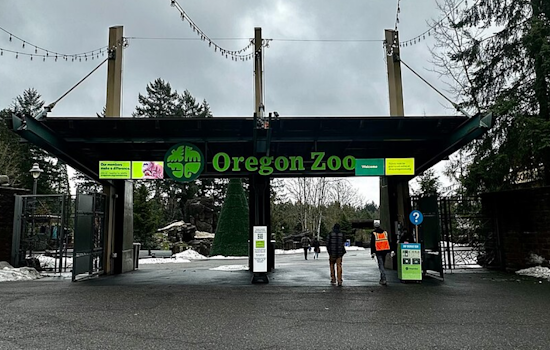 Oregon Zoo Mourns Loss of Tilly, the Cherished Otter and 'Mom of the Year'