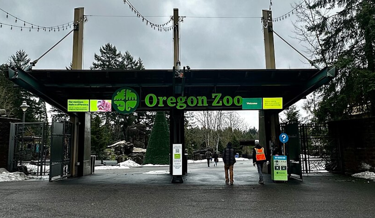 Oregon Zoo Mourns Loss of Tilly, the Cherished Otter and 'Mom of the Year'