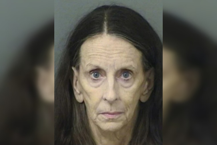 Palm Beach Woman, 73, Charged with Felony Animal Cruelty Over Neglected Horses