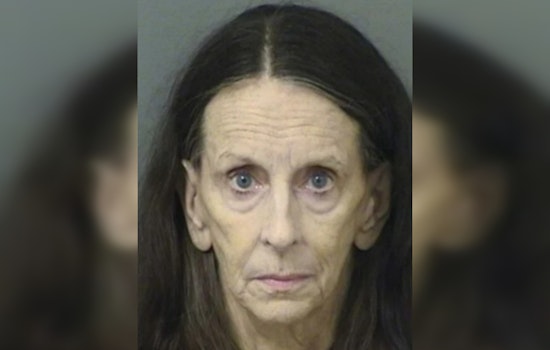Palm Beach Woman, 73, Charged with Felony Animal Cruelty Over Neglected Horses