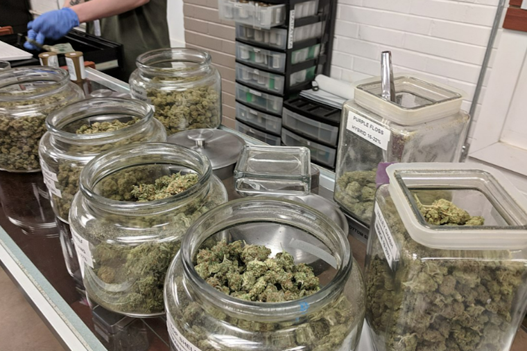 Pennsylvania's House Health Committee Advances Bill to Legalize Recreational Marijuana