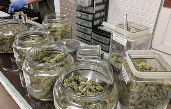 Pennsylvania's House Health Committee Advances Bill to Legalize Recreational Marijuana