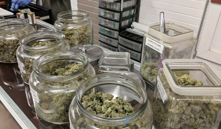 Pennsylvania's House Health Committee Advances Bill to Legalize Recreational Marijuana