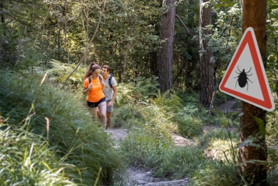 Philadelphia Health Authorities Urge Vigilance Against Tick Bites and Lyme Disease in Public Parks