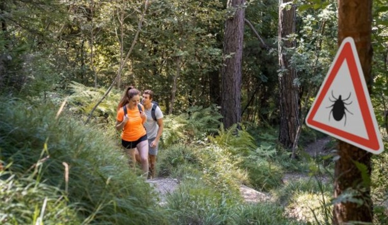 Philadelphia Health Authorities Urge Vigilance Against Tick Bites and Lyme Disease in Public Parks