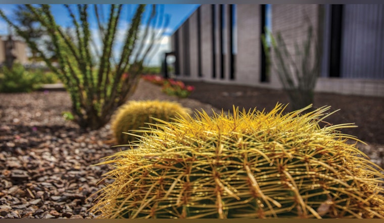 Phoenix Launches Summer Water Smart Teaching Workshops for High School Educators to Bolster Water Conservation Efforts