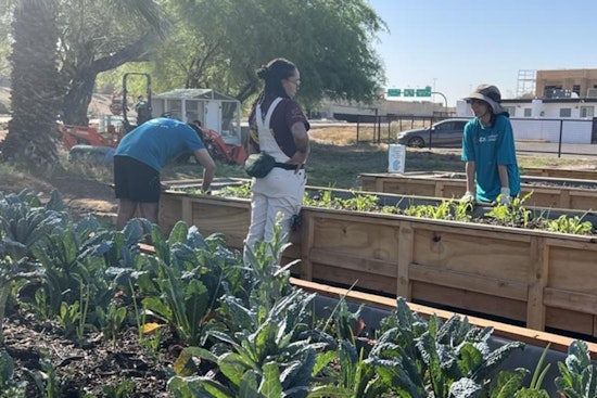 Phoenix Residents Invited to Shape City's Sustainability Plans via Climate Action Survey