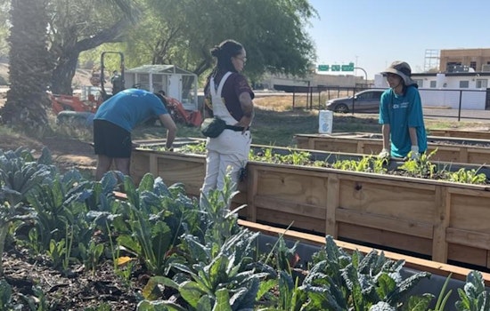 Phoenix Residents Invited to Shape City's Sustainability Plans via Climate Action Survey