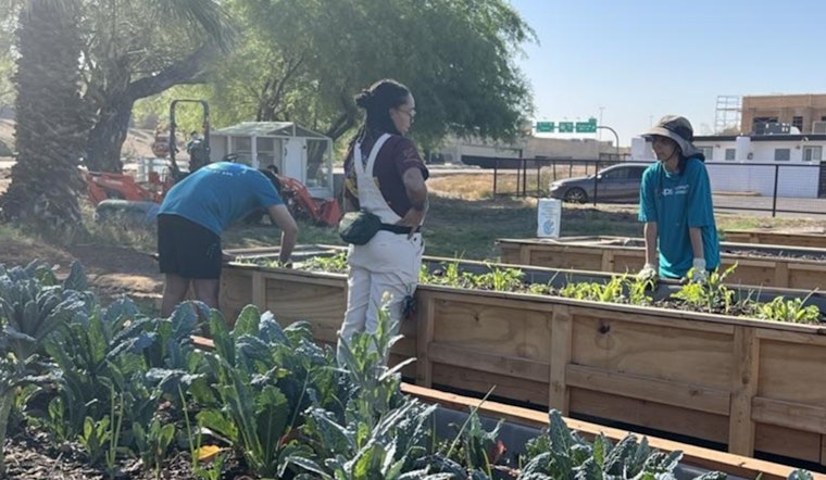 Phoenix Residents Invited to Shape City's Sustainability Plans via Climate Action Survey
