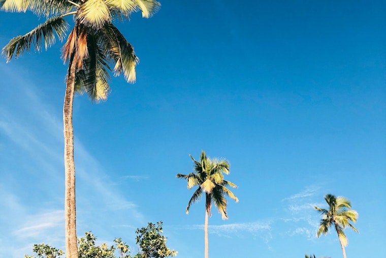 Phoenix Residents to Enjoy Warm Week with Highs in the 90s, Possible Weekend Showers