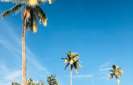 Phoenix Residents to Enjoy Warm Week with Highs in the 90s, Possible Weekend Showers