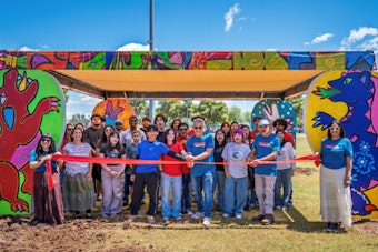 Phoenix Unveils Vibrant 'Rincón de Color' at Cielito Park, A Cultural Approach to Urban Cooling
