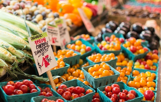 Pierce County Launches $80 Produce Vouchers for Seniors to Support Local Farms and Healthy Eating