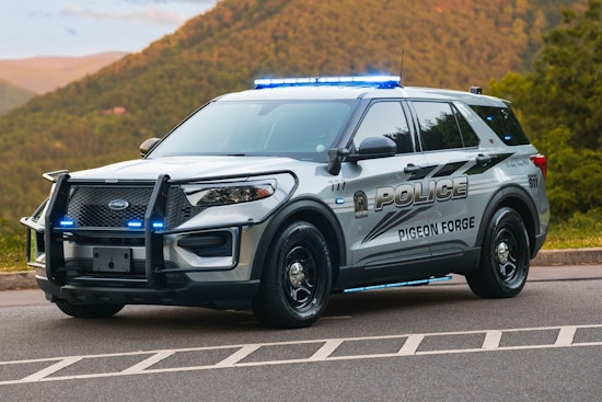 Pigeon Forge Police Seek Public Help in Locating Missing Woman Lisa Green