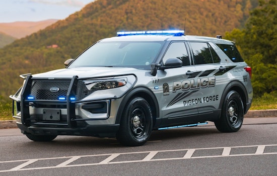 Pigeon Forge Police Seek Public Help in Locating Missing Woman Lisa Green