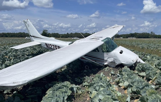 Pilot Hospitalized After Small Plane Crashes in Hastings Cabbage Field, Investigation Underway