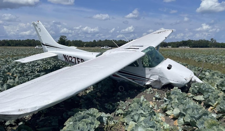Pilot Hospitalized After Small Plane Crashes in Hastings Cabbage Field, Investigation Underway