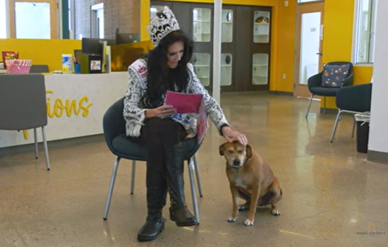 Pinal County Animal Lovers Invited to "Tales for Tails" Summer Reading Program at Local Shelter