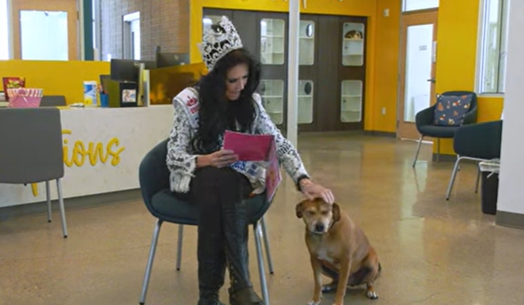 Pinal County Animal Lovers Invited to "Tales for Tails" Summer Reading Program at Local Shelter