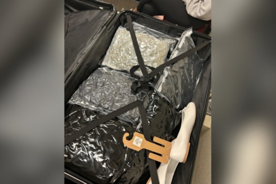 Pittsburgh CBP Officers Intercept 54-Pound Marijuana Stash, Massachusetts Woman Charged