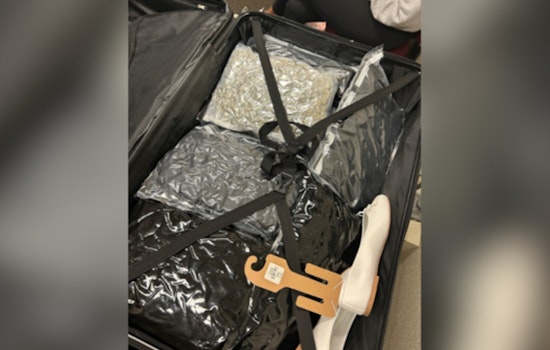 Pittsburgh CBP Officers Intercept 54-Pound Marijuana Stash, Massachusetts Woman Charged