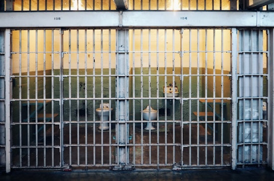 Plainfield Horror: Elderly Landlord Faces Life in Slammer for Hate-Fueled Murder of 6-Year-Old Palestinian Boy in Joliet Court Showdown