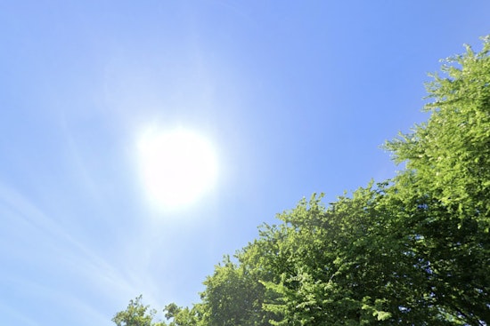 Portland Braces for Showers and Sun with Unpredictable Spring Weather Ahead