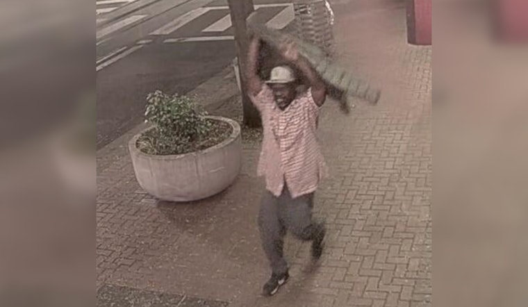 Portland Police Seek Public Assistance to Identify Suspect in Brutal Assault near West Burnside Street