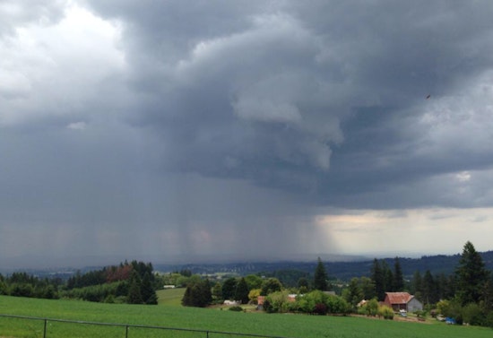 Portland Weather Update: Mild Temperatures with Varied Rain Chances Ahead