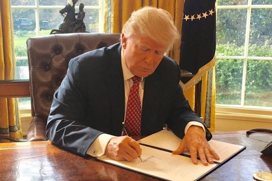 President Trump Vows to Secure Peace in Ukraine Within 24 Hours Amidst Diplomatic Efforts