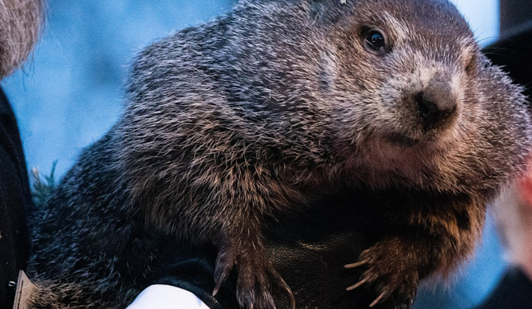 Punxsutawney Mourns Passing of Beloved Groundhog Day Icon, William "Bill" Deeley