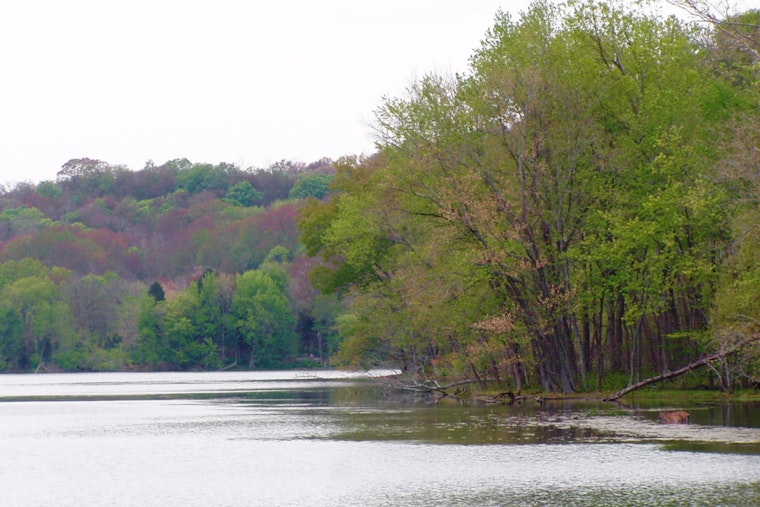 Radnor Lake State Park in Tennessee to Undergo Road Repair and Safety Enhancements Starting May 19