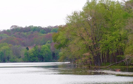Radnor Lake State Park in Tennessee to Undergo Road Repair and Safety Enhancements Starting May 19