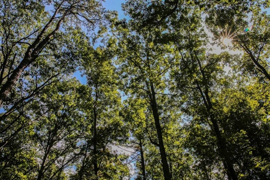 Raleigh Residents Invited to Shape Future of New Forestville Road Park through Community Survey