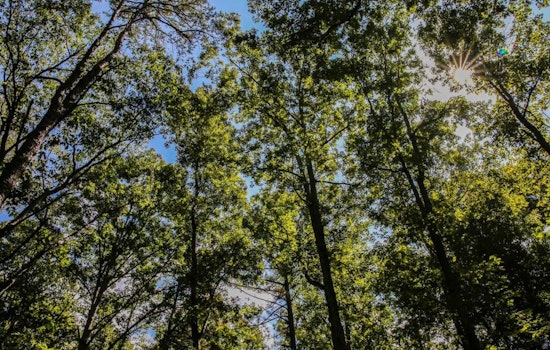Raleigh Residents Invited to Shape Future of New Forestville Road Park through Community Survey